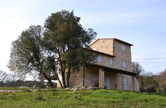 Agriturismo Surripa 아멜리아 외부 사진