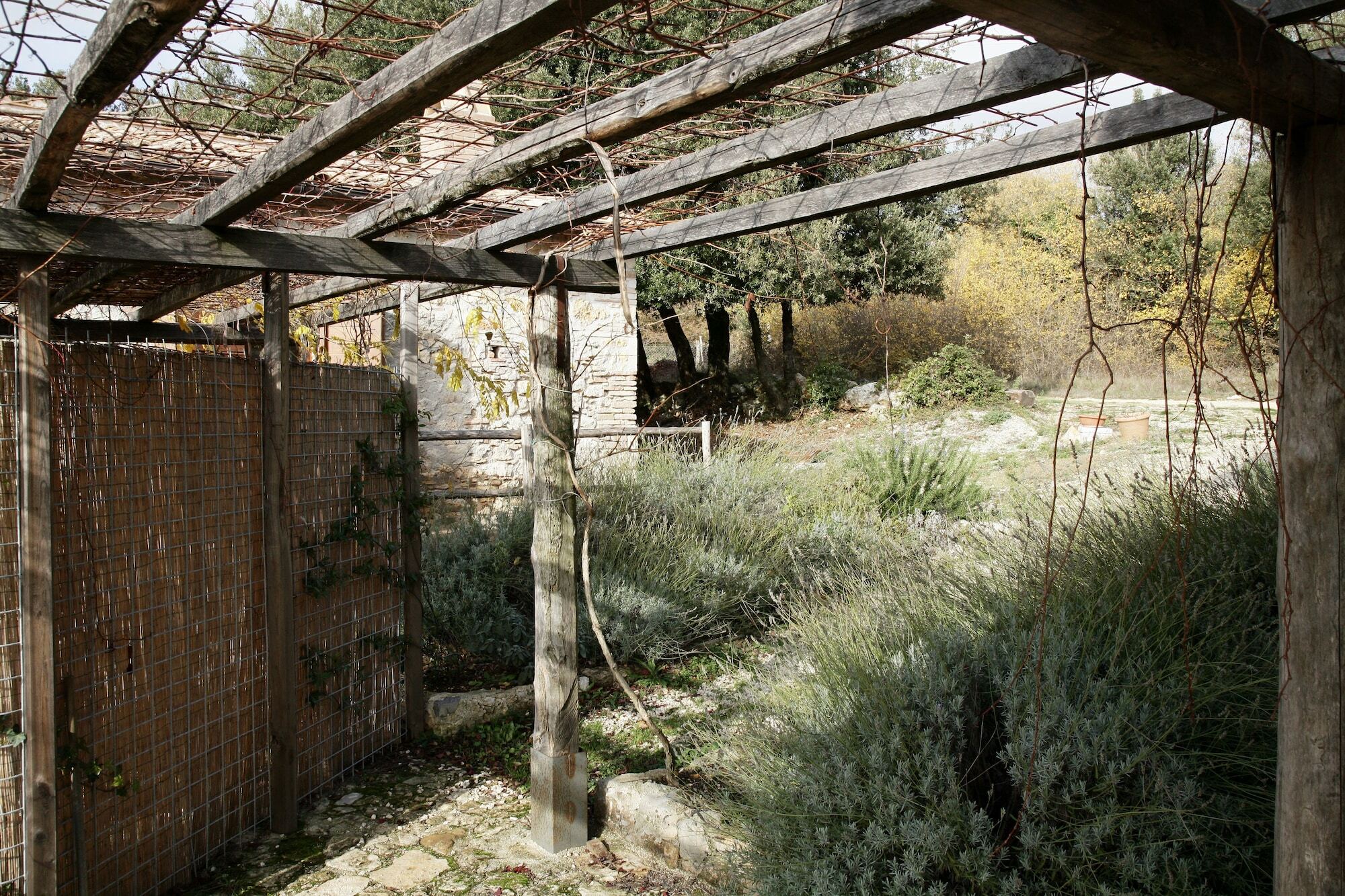 Agriturismo Surripa 아멜리아 외부 사진